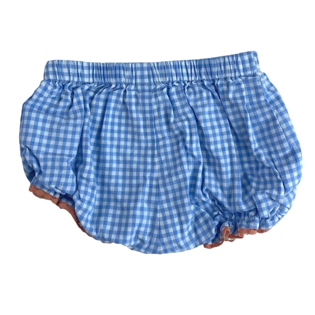 Joie Infant Baby Blue Gingham Checkered Embroidered Matching Dress Set Size 3-6M - Image 5