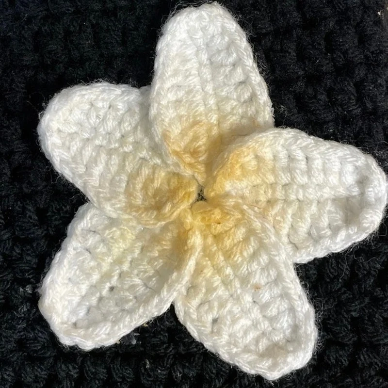 Women's Black White Plumeria Hibiscus Crochet High Waisted Beach Summer Shorts S - Image 4